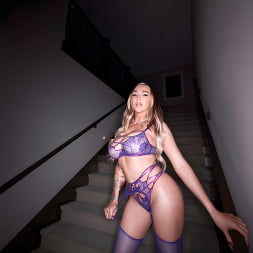 Luscious Lavender Haze