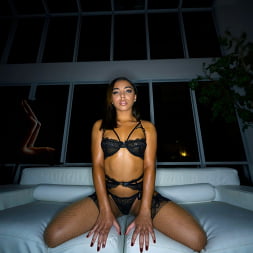 Double Vixen Trouble
