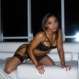 Double Vixen Trouble