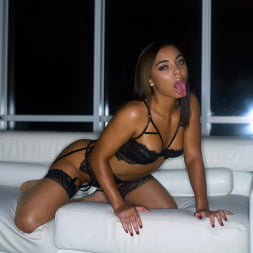 Double Vixen Trouble